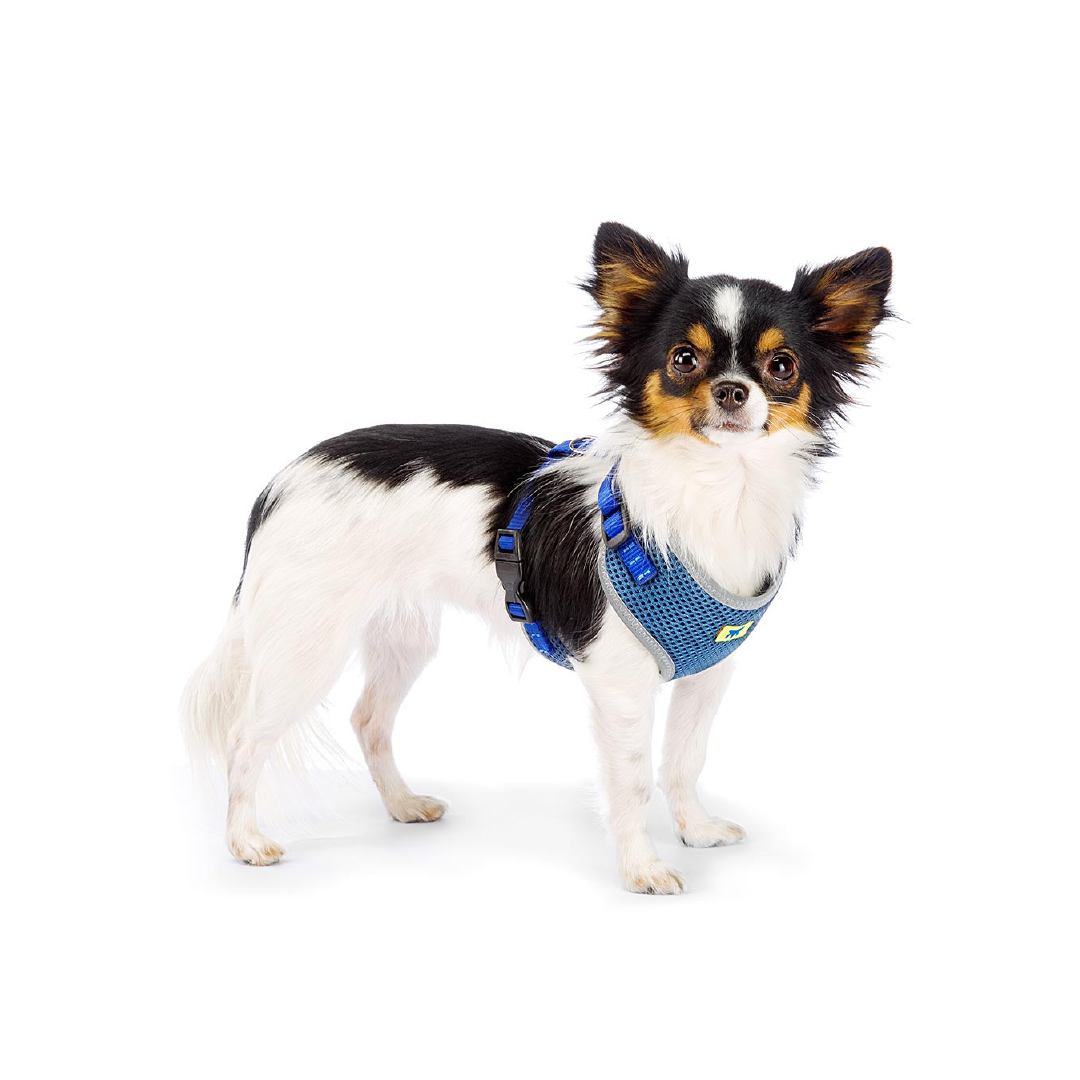 Pechera Nikita Ferplast – Comodidad, estilo y seguridad para tu mascota