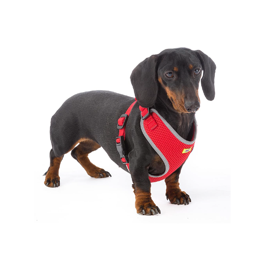 Pechera Nikita Ferplast – Comodidad, estilo y seguridad para tu mascota