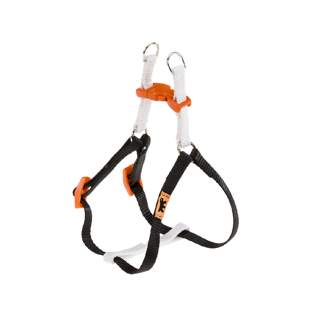 Arnés Easy Color Ferplast – Comodidad, ajuste perfecto y estilo para tu mascota