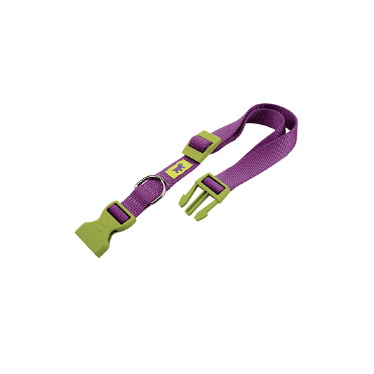 Collares Ferplast para perros-Club colours